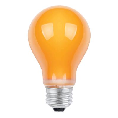 25 Watt A19 Incandescent Light Bulb