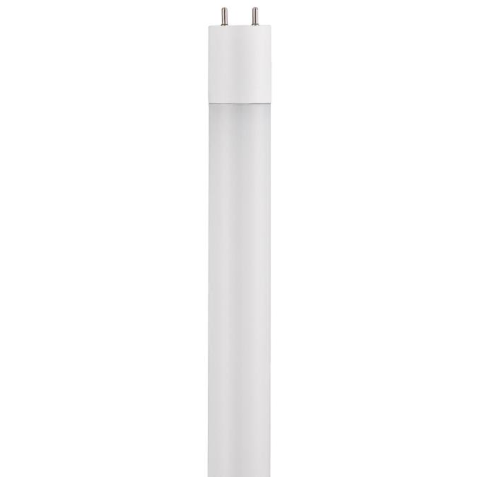 Westinghouse Lighting T8 10 Watt 3 Foot Medium BiPin Cool White